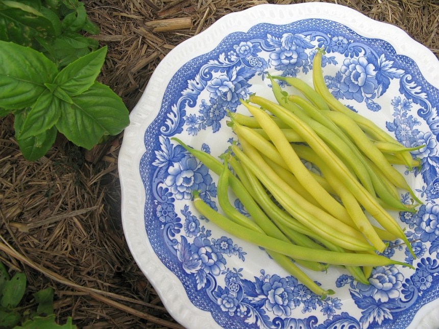 butter beans