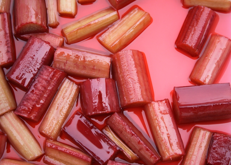 rhubarb4 resized