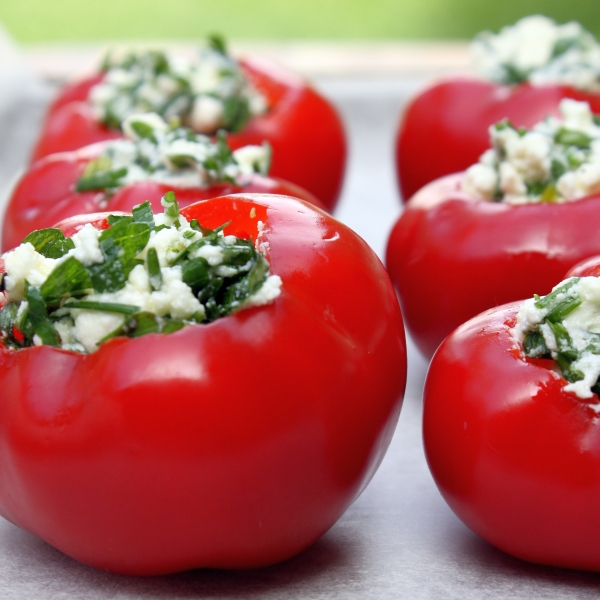 roasted capsicum1 square