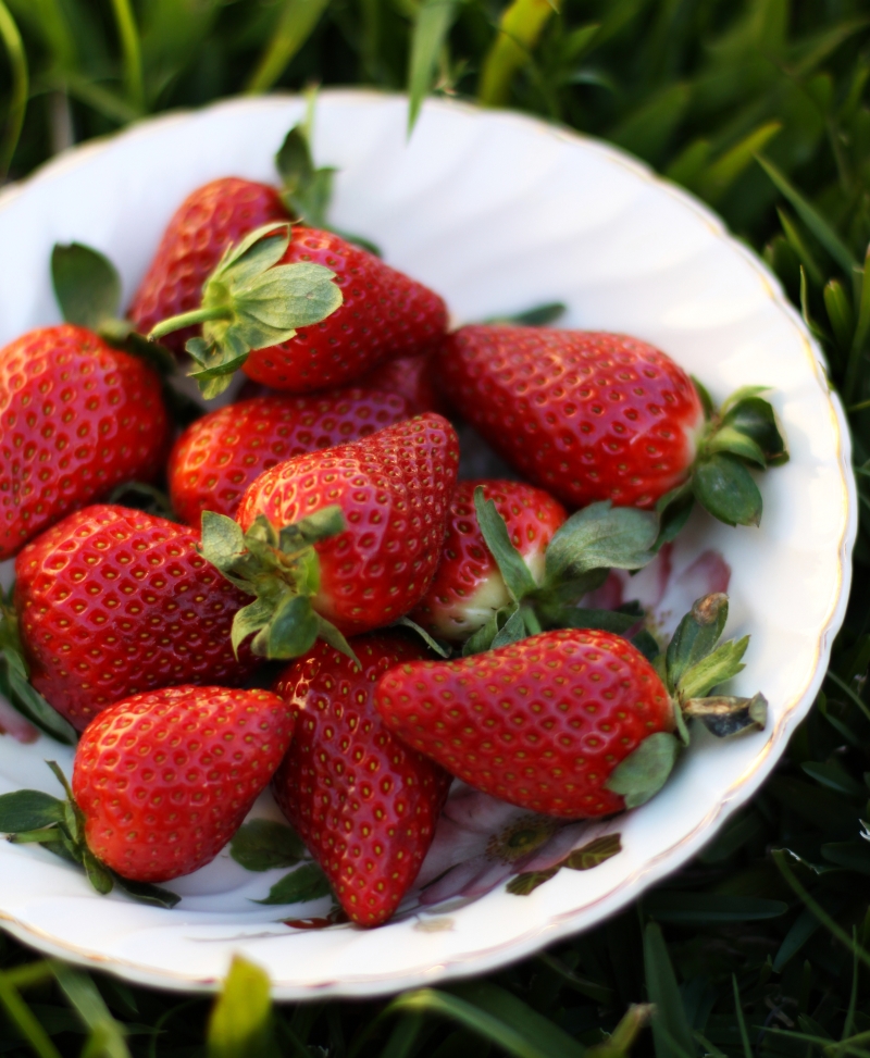 strawberries2 resized